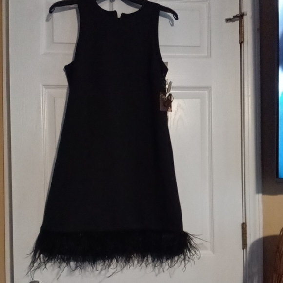Taylor Black Mini Dress with Feather Hem - Picture 1 of 4